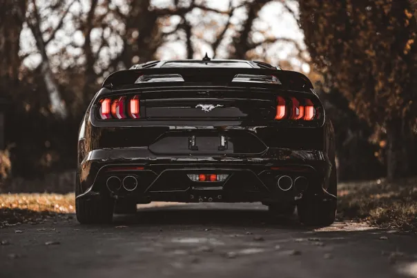 Casino Posh Bingo Android/iOS App